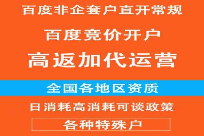 百度推广在电商行业的应用案例